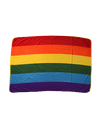Rainbow Plush Blanket