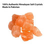 ButterfliesAromatherapy Salt Lamp with UL Listed Cord